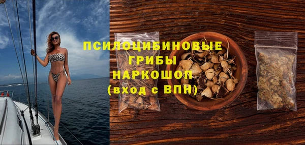 прущий лед Абаза